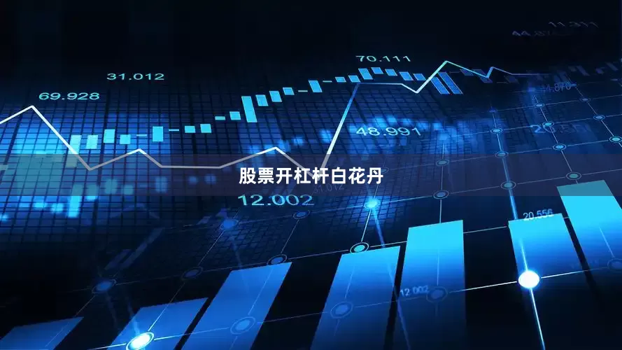 股票开杠杆白花丹