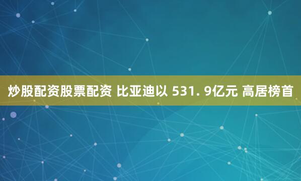 炒股配资股票配资 比亚迪以 531. 9亿元 高居榜首