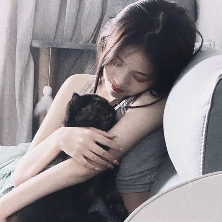 执法者们粤语